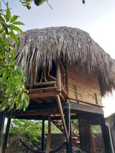 a hut with a straw roof on top of it at Hostel Nugeku in Rincón