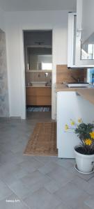 eine Küche mit einer Spüle und einer Theke mit einer Pflanze in der Unterkunft coralinehome in Castellammare di Stabia