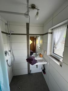 a bathroom with a sink and a mirror at Apartment Rothenlehen in Bischofswiesen