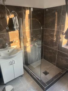 a bathroom with a shower and a sink at Obrov in Bijelo Polje