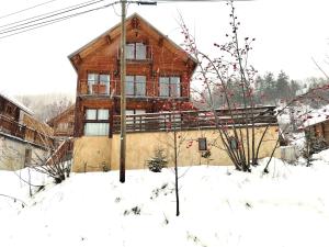 Fotografia z galérie ubytovania Le Coucou - Grand chalet - Parking - WIFI - ALLOS - 10adul+2enf v destinácii Allos