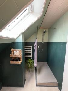 a shower in a bathroom with green tiles at NEU! Canossablick Bad Harzburg Inklusive Bettwäsche in Bad Harzburg