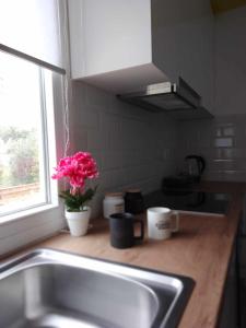 una encimera con fregadero y un jarrón de flores en Afionas Cottage, en Afionas