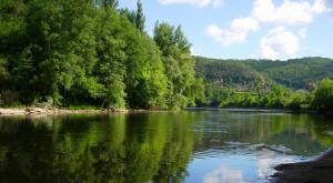 um rio com árvores ao lado dele em Gîte de la rivière em Pineuilh