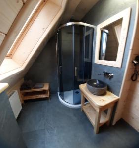 a bathroom with a shower and a sink at Góralska Chata przy Dolinie Chochołowskiej in Witów