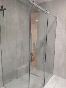 een douche met een glazen deur in een badkamer bij Athenian Apartments, Syntagma square #6 in Athene