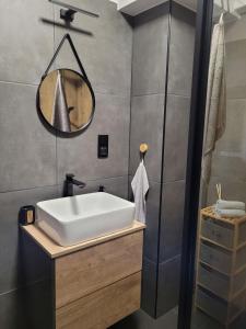 een badkamer met een witte wastafel en een spiegel bij Maxx Grey in Bielsko-Biala
