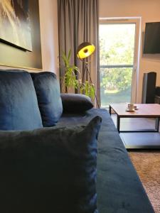 uma sala de estar com um sofá azul e uma janela em Maxx Grey em Bielsko-Biala