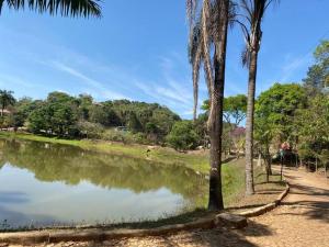 a body of water with palm trees next to it w obiekcie Sítio agradável com piscina em Condomínio fechado w mieście Brumadinho
