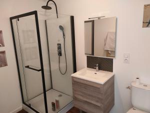a bathroom with a shower and a sink at Grand studio centre ville Bretignolles in Brétignolles-sur-Mer