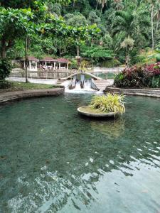 a pool of water with a fountain in a park at Kathy's Place at Cold Spring in Catarman
