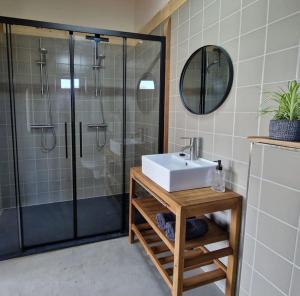 La salle de bains est pourvue d'un lavabo et d'une douche. dans l'établissement De Wilde Tuin - Tuinkamer, à Moergestel