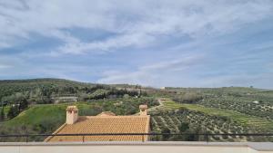 a view of a garden from the roof of a building at Casa Carmen in Cazorla