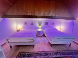 2 camas en un dormitorio con iluminación púrpura en Mon "Chateau" FRAUSSIE, en Chahaignes