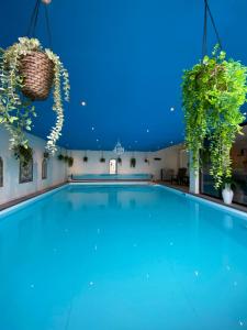 een groot zwembad met blauwe plafonds en planten bij B&B Wellness Soest in Soest