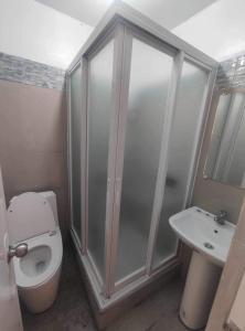 a bathroom with a shower and a toilet and a sink at Kathy's Place at Cold Spring in Catarman