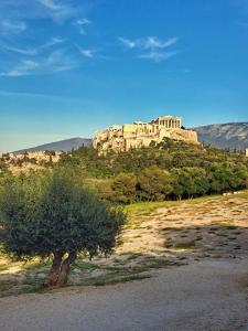 een gebouw bovenop een heuvel met een boom bij ATHENS *BLUE GRAND SUITE *DI GIORGIO CENTRAL APARTMENT in Athene