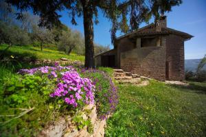 an old stone building with purple flowers in a field at Agriturismo Cuore Verde La Madreselva a Spello in Spello