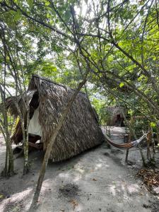 eine Strohhütte mit einer Hängematte davor in der Unterkunft Eco-Camping Mango Feliz Rincón del Mar in San Onofre