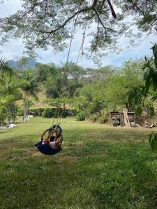 Finca privada Monte sol para 15 personas في لا بنتادا: أرجوحة معلقة من شجرة في الحديقة