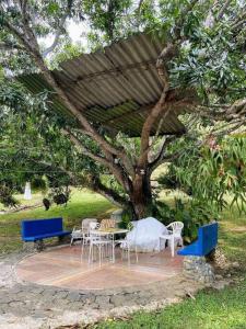 a table and chairs sitting under a tree at Finca privada Monte sol para 15 personas in La Pintada