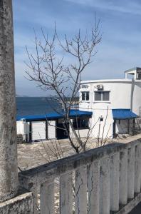 - un bâtiment blanc avec un arbre en face de l'océan dans l'établissement Apartment Mañana STINICA, à Jablanac