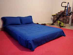 a blue bed in a room with a red carpet at Hermosa Casa Ciudad Lerdo 2 Habitaciones in Ciudad Lerdo