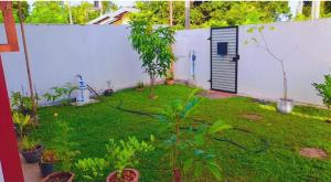 a yard with a white fence and a garden with trees at Villa roma, panadura in Panadura