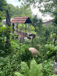 ogród ze stołem i parasolem w obiekcie Parsamyan's Art and Craft house w mieście Tekher