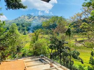 a view of a mountain with trees and benches at Eco Knuckles Holiday Lodge in Kandy