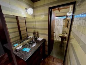 uma casa de banho com um lavatório e um espelho em Casa Don Molina, en Chacras con pileta! em Luján de Cuyo