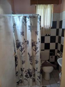 a bathroom with a shower curtain with a toilet at Maria's garden house in Archangelos +45 photos
