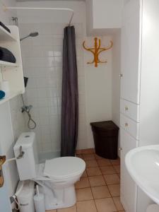 uma casa de banho com um WC e um lavatório em Les Hortensias em Challans