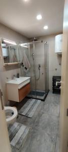 ein Bad mit einer Dusche, einem Waschbecken und einem WC in der Unterkunft Apartman Miletić 4 in Zlatibor