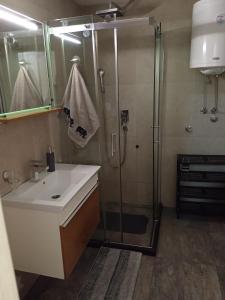 ein Bad mit einer Dusche und einem weißen Waschbecken in der Unterkunft Apartman Miletić 4 in Zlatibor