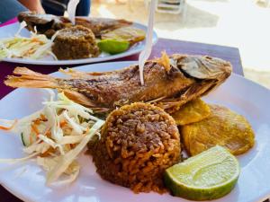 two plates of food with fish and rice on a table at Hostal la Canoa in Playa Blanca