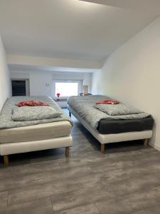 zwei Einzelbetten in einem Zimmer mit Fenster in der Unterkunft Appart Pro & Famille in Verdun-sur-Meuse