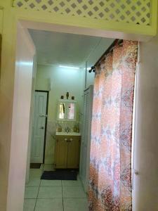 a bathroom with a sink and a shower curtain at 1-bedroom suburban apartment with free parking in Kingstown