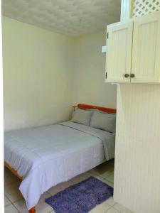 Bett in einem weißen Zimmer mit einem Schrank in der Unterkunft 1-bedroom suburban apartment with free parking in Kingstown