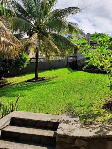 a grassy yard with a palm tree and some steps at 1-bedroom suburban apartment with free parking in Kingstown