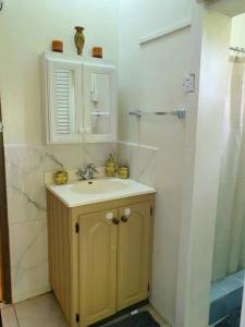 bagno con lavandino e doccia di 1-bedroom suburban apartment with free parking a Kingstown