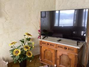 einen Fernseher auf einem Schrank mit Blumen in einem Zimmer in der Unterkunft Casa Piaghen in 