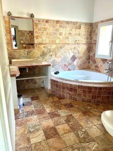 ein Badezimmer mit einer Badewanne und einem Waschbecken in der Unterkunft Gîte en Provence in Monteux