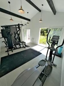um ginásio com duas passadeiras e duas bicicletas de exercício em Maison de Charme Classée 3 étoiles - Calme, Jardin, Salle de Sport, Piscine em Marselha mais 23 fotografias