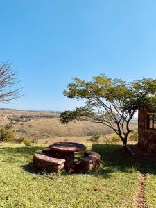 une pile de bûches assises dans l'herbe à côté d'un arbre dans l'établissement Casa da Namaacha, à Maputo