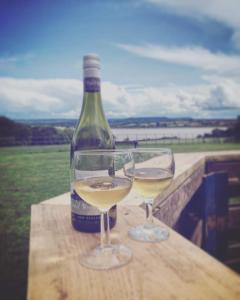 two glasses of white wine next to a bottle of wine at Forest Glamping Retreat in Blakeney