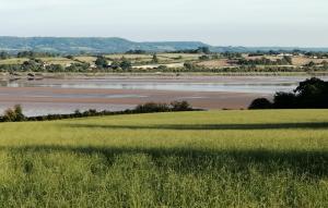 a view of a river from a grassy field at Forest Glamping Retreat in Blakeney