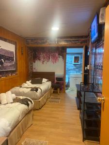 Habitación de hotel con 3 camas y TV en Hostal Queltehue en Ancud