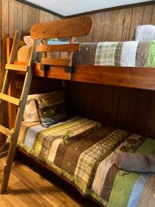 two bunk beds in a room with a bed at Snow Otter Haus - 1 in Bessemer