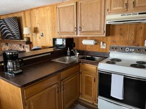 a kitchen with wooden cabinets and a sink and a stove at Snow Otter Haus - 1 in Bessemer